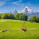 Изображение фотообоев