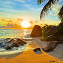 Изображение фотообоев