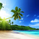 Изображение фотообоев