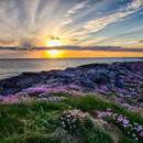 Изображение фотообоев