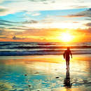 Изображение фотообоев