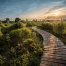 Изображение фотообоев