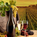 Винный натюрморт и виноградник