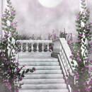 Изображение фотообоев