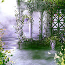 Изображение фотообоев