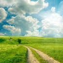 Пейзаж с дорогой — Фотообои на стену