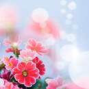 Изображение фотообоев