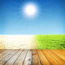 Изображение фотообоев