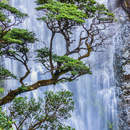 Изображение фотообоев