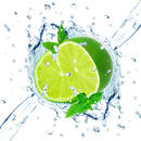 Обои для кухни «Зеленая энергия природы: цитрусы и мята»