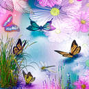 Изображение фотообоев