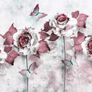 Изображение фотообоев