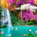 Обои с водопадом и птицами