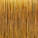 Бамбуковая текстура