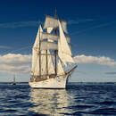 Красивый парусник в море