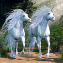 Белые единороги. Сказочный лес